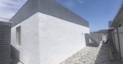 �������������� ������� � �������� ���� 12