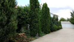 ������������� ������� � �������� 3 ���� 3