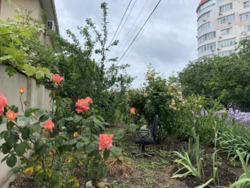 2-���������� ������� �� ���. ������������� ���� 13