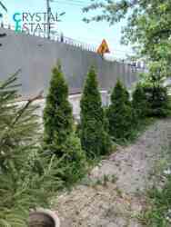 2-���������� ������� �� ���. ������� ����� ���� 8