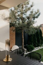 Двоповерховий будинок із басейном у закритому котеджному кооперативі на 16-й станції Фонтану фото 5 Двоповерховий будинок із басейном у закритому котеджному кооперативі на 16-й станції Фонтану фото 5