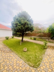 Одноповерховий будинок, Санжейка, ділянка 23 сотки фото 8 Одноповерховий будинок, Санжейка, ділянка 23 сотки фото 8