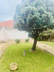 Одноповерховий будинок, Санжейка, ділянка 23 сотки фото 27 Одноповерховий будинок, Санжейка, ділянка 23 сотки фото 27