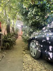 ������ �� ������� �� ������� ���� 17