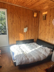 ������ �� ������� �� ������� ���� 12