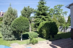 Двоповерховий будинок у Царському селі-1 фото 5 Двоповерховий будинок у Царському селі-1 фото 5