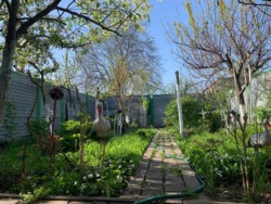 ������� 130 �2 � �������������� ������. ����� ������, ������� ��� ������� ���� 11