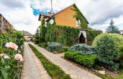 Продаж будинку Старі Петрівці фото 2 Продаж будинку Старі Петрівці фото 2