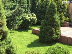 Продаж будинку з ділянкою 3 сотки (10 хв. пішки до метро Дорогожичі) фото 2 Продаж будинку з ділянкою 3 сотки (10 хв. пішки до метро Дорогожичі) фото 2