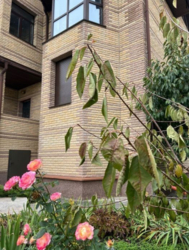 Продаж будинку м Київ, Голосіївський р-н, Віта Литовська фото 6 Продаж будинку м Київ, Голосіївський р-н, Віта Литовська фото 6