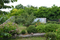 Продається будинок Київська, Кагарлицький, Сущани фото 3 Продається будинок Київська, Кагарлицький, Сущани фото 3