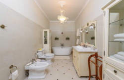 Унікальний будинок в стилі «Версаль» в Києві 600м, сосновий ліс фото 10 Унікальний будинок в стилі «Версаль» в Києві 600м, сосновий ліс фото 10