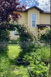 Будинок в 14 км від м. Бориспільська, Київ фото 6 Будинок в 14 км від м. Бориспільська, Київ фото 6