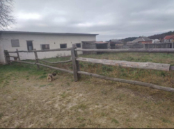 Продаж будинку з конюшнею фото 8 Продаж будинку з конюшнею фото 8