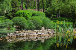 Будинок, Буча Лісова фото 5 Будинок, Буча Лісова фото 5