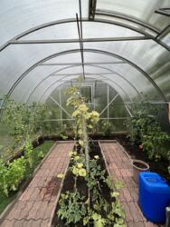 Продається будинок на Осокорках фото 14 Продається будинок на Осокорках фото 14