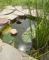 Продаж будинку біля озера фото 11 Продаж будинку біля озера фото 11