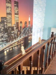 Продаж будинку Марʼянівка фото 4 Продаж будинку Марʼянівка фото 4