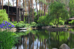 Будинок, Буча Лісова фото 4 Будинок, Буча Лісова фото 4