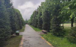 Продається елітний особняк в Гатному фото 19 Продається елітний особняк в Гатному фото 19