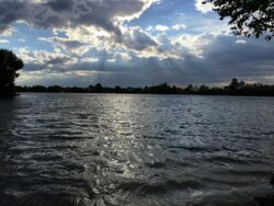 Продаж будинку на Осокорках фото 12 Продаж будинку на Осокорках фото 12