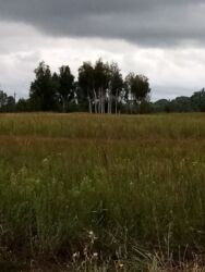 Продаж будинку на ул. Лесничая фото 7 Продаж будинку на ул. Лесничая фото 7