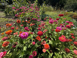 Продається будинок Київська, Баришевський, Баришівка фото 14 Продається будинок Київська, Баришевський, Баришівка фото 14