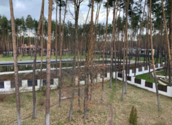  444 . . 28    ,  ,   7