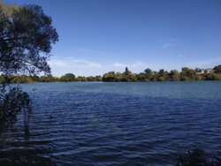 Продається будинок Київська, Білоцерківський фото 8 Продається будинок Київська, Білоцерківський фото 8