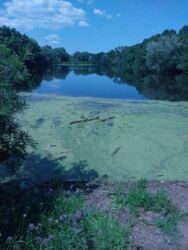 Продаж будинку на ул. Лесничая фото 5 Продаж будинку на ул. Лесничая фото 5