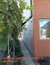 Продаж частини будинку з двома входами фото 3 Продаж частини будинку з двома входами фото 3