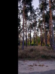 Продаж будинку на ул. Лесничая фото 11 Продаж будинку на ул. Лесничая фото 11