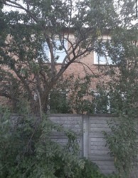 ������ �������������� ������� � ������������ ������ ���� 2