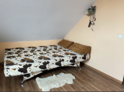 Двоповерховий будинок Димер Вишгородський фото 9 Двоповерховий будинок Димер Вишгородський фото 9