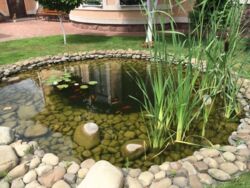 Продається будинок в с. Чайки фото 6 Продається будинок в с. Чайки фото 6