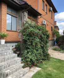 Продаж 2 поверхового будинку з верандою і ділянкою на 12 соток, 320 кв. м, 6 кімнат, на вул. Вірності 33 • фото 3 Продаж 2 поверхового будинку з верандою і ділянкою на 12 соток, 320 кв. м, 6 кімнат, на вул. Вірності 33 • фото 3