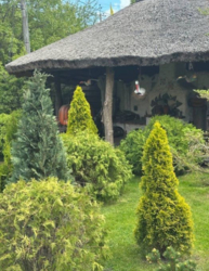 Продаж будинку,Садова 59, заїзд з центральної. Осокорки фото 10 Продаж будинку,Садова 59, заїзд з центральної. Осокорки фото 10