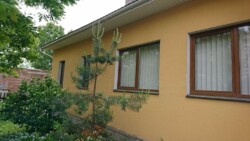 Продається будинок. Вул Яворницького фото 2 Продається будинок. Вул Яворницького фото 2