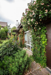 Продаж будинку Старі Петрівці фото 4 Продаж будинку Старі Петрівці фото 4