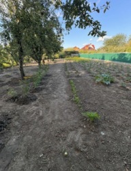 📍 ������� � ��������� �������� �� ������� ����㳺� � �. ���� ������, ����� ����� ���� 16