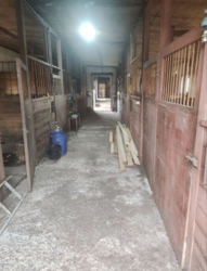 Продаж будинку з конюшнею фото 7 Продаж будинку з конюшнею фото 7