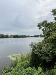 Продається будинок на Осокорках фото 16 Продається будинок на Осокорках фото 16