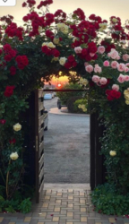 Будинок в 14 км від м. Бориспільська, Київ фото 3 Будинок в 14 км від м. Бориспільська, Київ фото 3