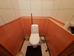 Продається будинок Київська, Баришевський, Волошинівка фото 14 Продається будинок Київська, Баришевський, Волошинівка фото 14