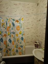 Продається будинок Київська, Броварський фото 9 Продається будинок Київська, Броварський фото 9