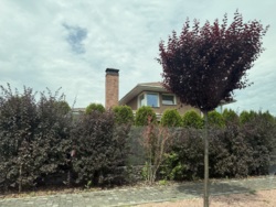 Продаж розкішного будинка у Vitagrad “під ключ” фото 8 Продаж розкішного будинка у Vitagrad “під ключ” фото 8