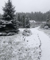 Продаж 2 поверхового будинку з верандою і ділянкою на 55 соток, Стовпʼяги фото 3 Продаж 2 поверхового будинку з верандою і ділянкою на 55 соток, Стовпʼяги фото 3