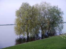 Продаж дому в КМ Чернобылец фото 2 Продаж дому в КМ Чернобылец фото 2