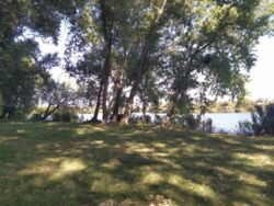 Продається будинок Київська, Білоцерківський фото 7 Продається будинок Київська, Білоцерківський фото 7