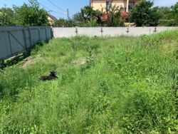 Продаж будинку на Осокорках фото 7 Продаж будинку на Осокорках фото 7